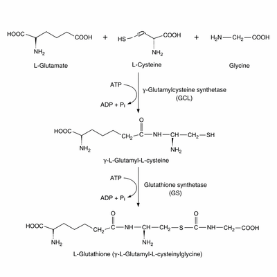 L-Glutathione (200mg)