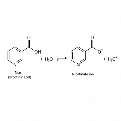 Niacin (16mg)