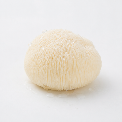 Lion's mane